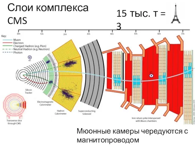 Слои комплекса CMS Мюонные камеры чередуются с магнитопроводом 15 тыс. т = 3