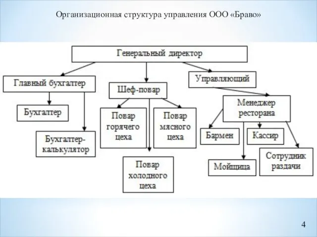 Организационная структура управления ООО «Браво»