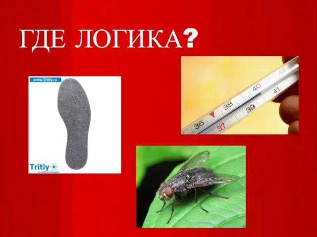 ГДЕ ЛОГИКА?