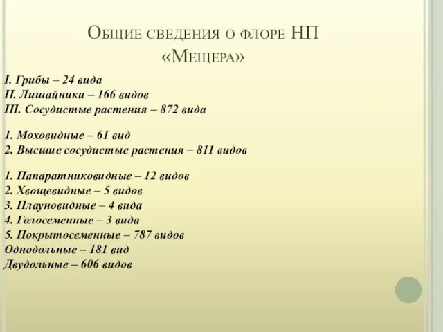 Общие сведения о флоре НП «Мещера» I. Грибы – 24 вида