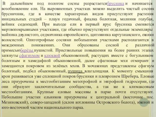 В дальнейшем под пологом сосны разрастаетсябрусника и начинается возобновление ели. На