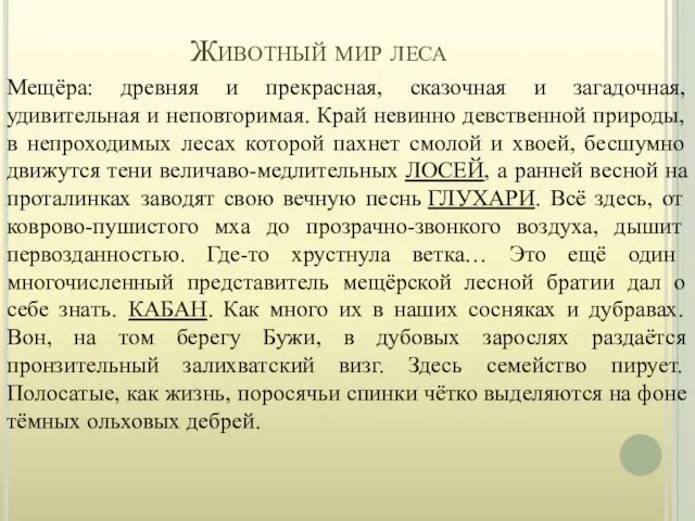 Животный мир леса Мещёра: древняя и прекрасная, сказочная и загадочная, удивительная