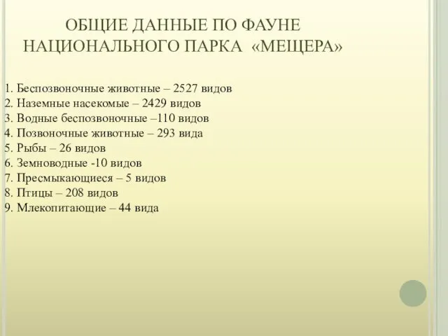 ОБЩИЕ ДАННЫЕ ПО ФАУНЕ НАЦИОНАЛЬНОГО ПАРКА «МЕЩЕРА» 1. Беспозвоночные животные –