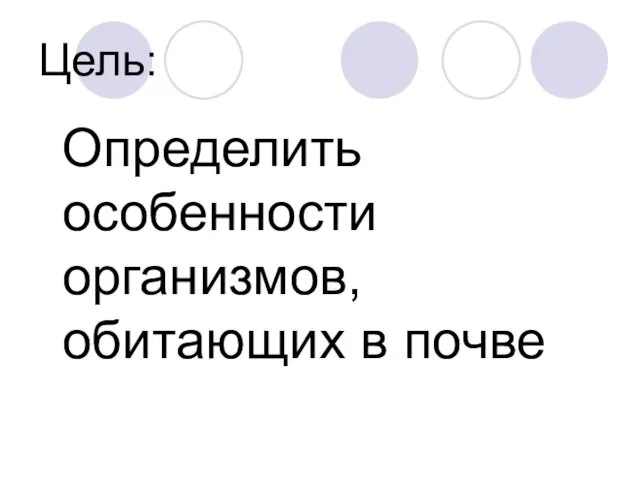 Цель: Определить особенности организмов, обитающих в почве