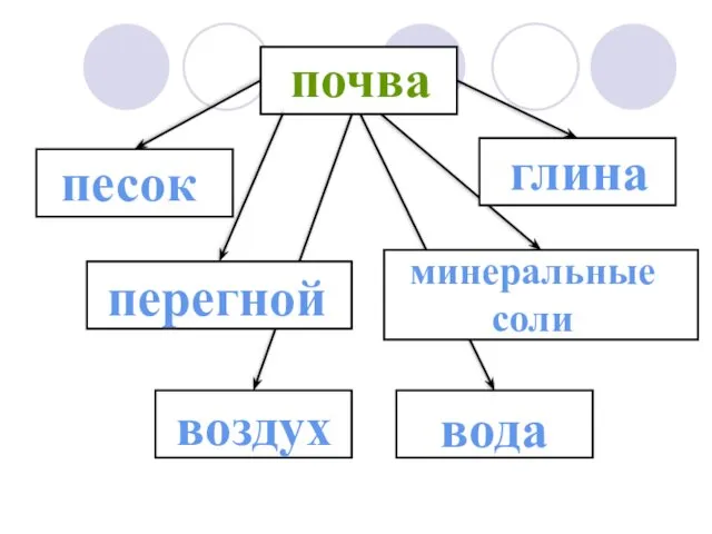 почва песок глина перегной минеральные соли воздух вода