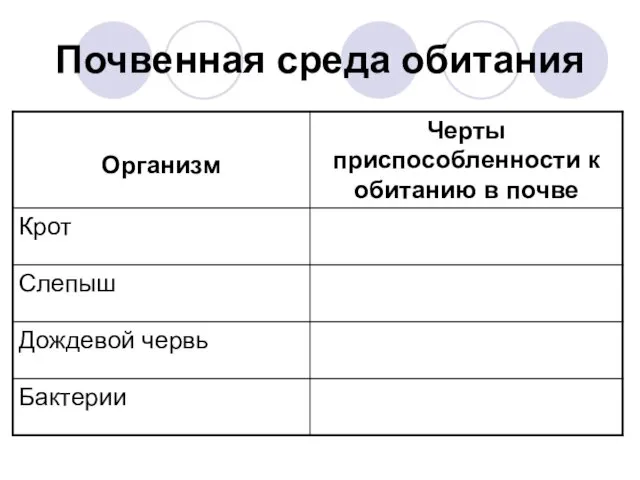 Почвенная среда обитания