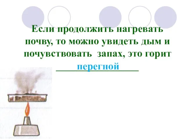 Если продолжить нагревать почву, то можно увидеть дым и почувствовать запах, это горит ________________ перегной