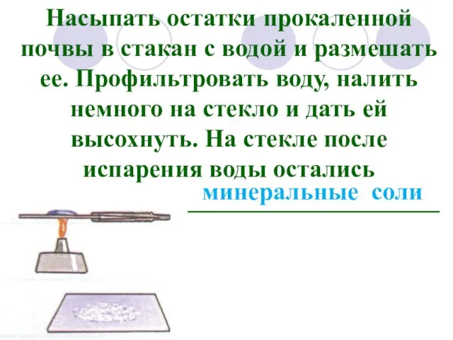 минеральные соли Насыпать остатки прокаленной почвы в стакан с водой и