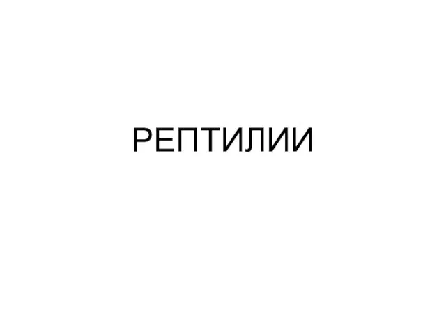 РЕПТИЛИИ