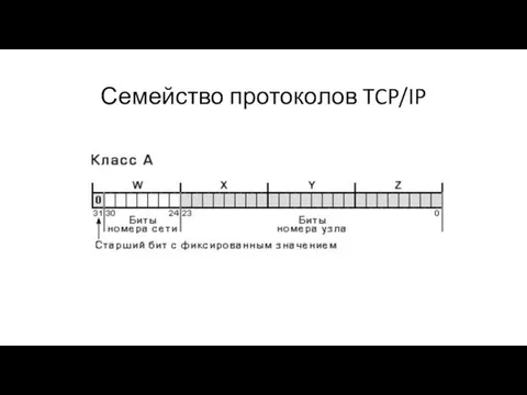 Семейство протоколов TCP/IP