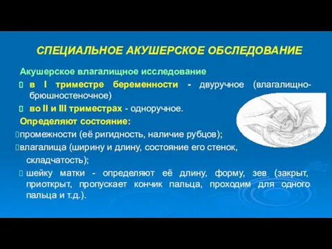 СПЕЦИАЛЬНОЕ АКУШЕРСКОЕ ОБСЛЕДОВАНИЕ Акушерское влагалищное исследование в Ι триместре беременности -