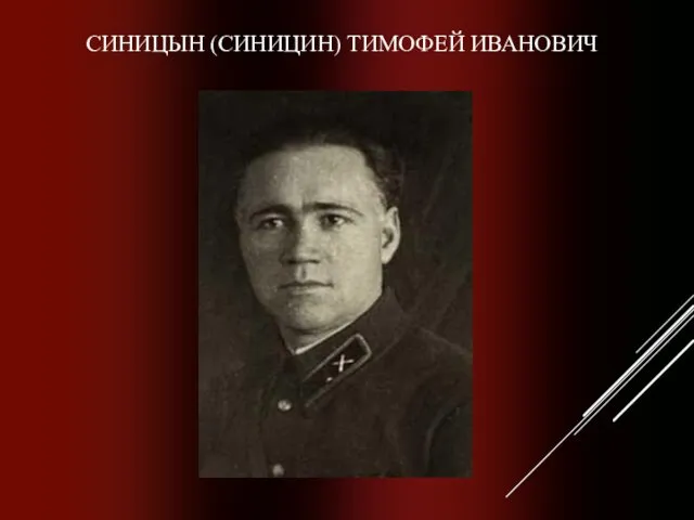 СИНИЦЫН (СИНИЦИН) ТИМОФЕЙ ИВАНОВИЧ