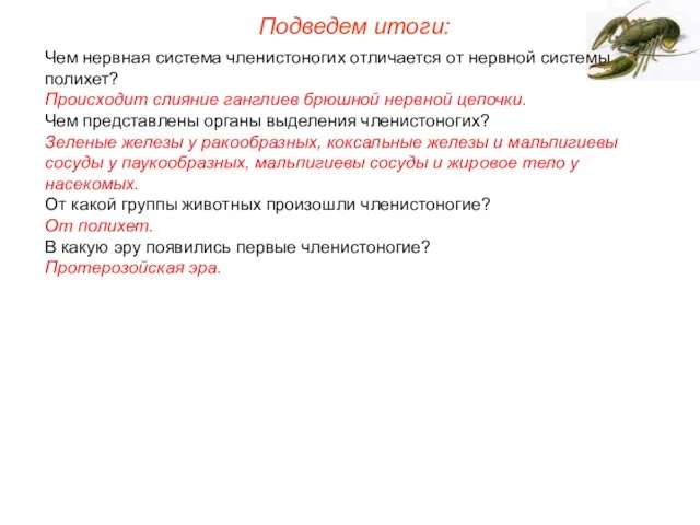 Чем нервная система членистоногих отличается от нервной системы полихет? Происходит слияние