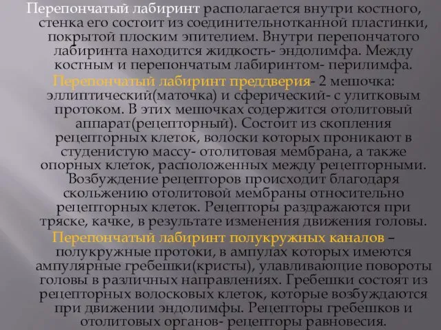 Перепончатый лабиринт располагается внутри костного, стенка его состоит из соединительнотканной пластинки,