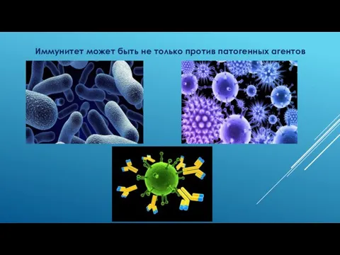 Иммунитет может быть не только против патогенных агентов