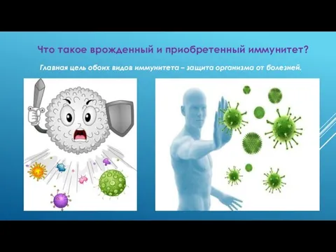 Что такое врожденный и приобретенный иммунитет? Главная цель обоих видов иммунитета – защита организма от болезней.