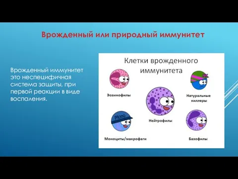 Врожденный или природный иммунитет Врожденный иммунитет это неспецифичная система защиты, при первой реакции в виде воспаления.