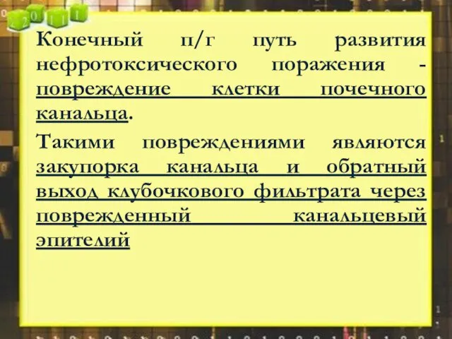 Конечный п/г путь развития нефротоксического поражения - повреждение клетки почечного канальца.