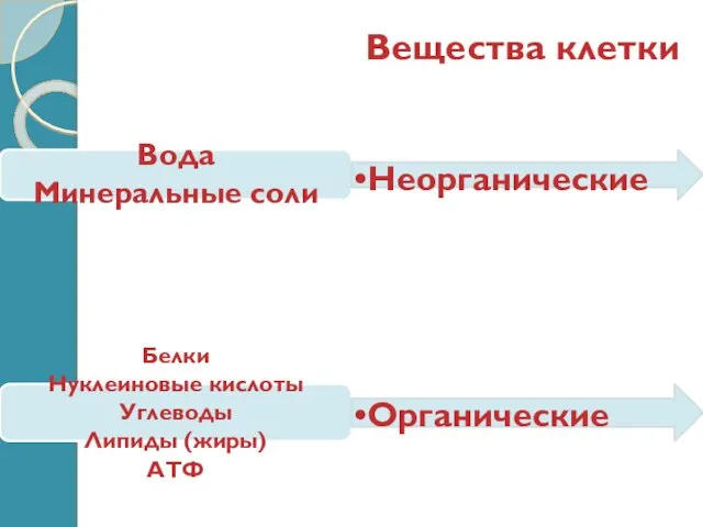 Вещества клетки Вода Минеральные соли Неорганические Белки Нуклеиновые кислоты Углеводы Липиды (жиры) АТФ Органические