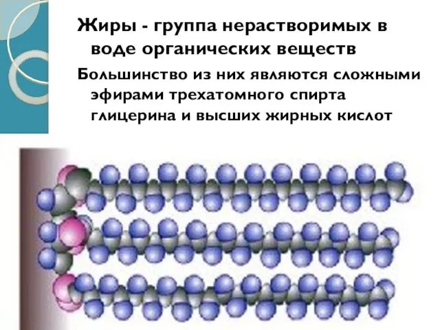 Жиры - группа нерастворимых в воде органических веществ Большинство из них