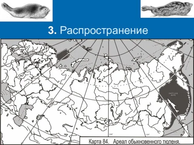 3. Распространение