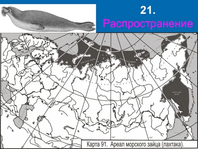 21. Распространение