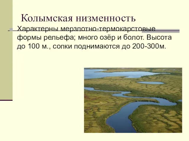 Колымская низменность Характерны мерзлотно-термокарстовые формы рельефа; много озёр и болот. Высота