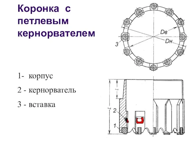 Коронка с петлевым кернорвателем 1- корпус 2 - кернорватель 3 - вставка