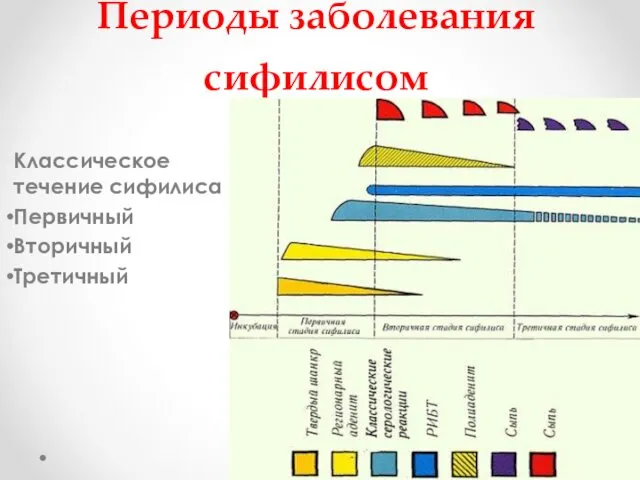 Периоды заболевания сифилисом Классическое течение сифилиса Первичный Вторичный Третичный