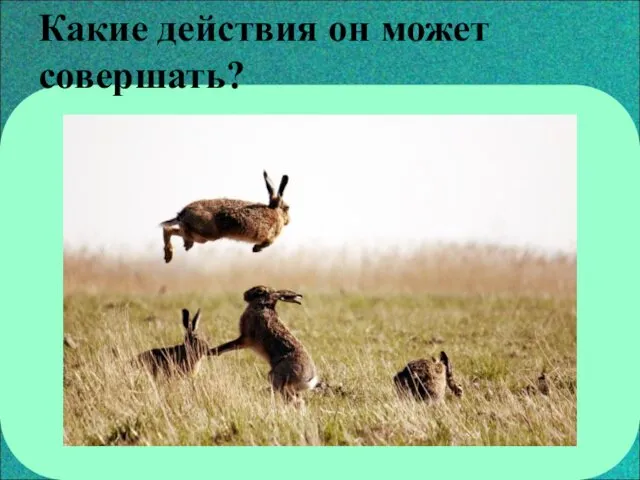 Какие действия он может совершать?