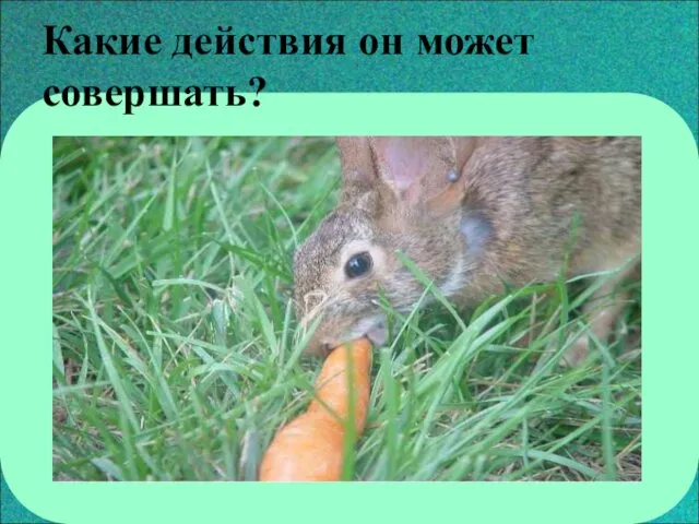 Какие действия он может совершать?