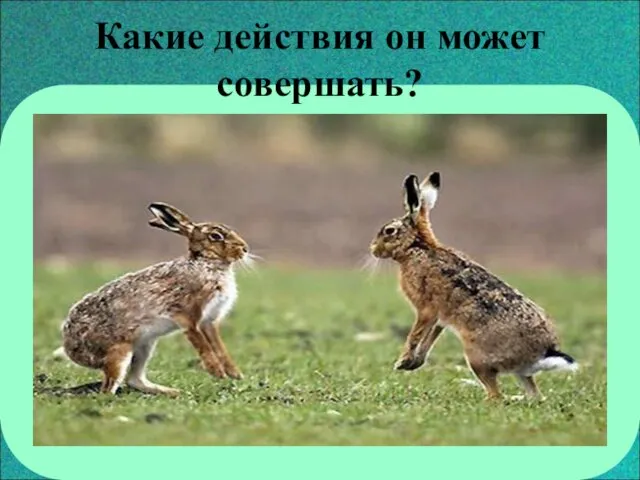 Какие действия он может совершать?