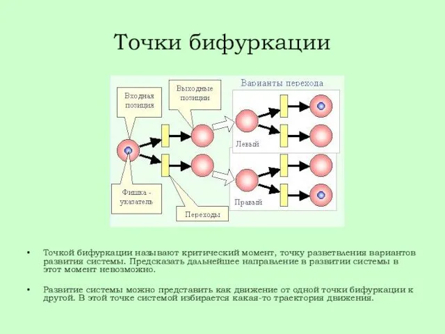 Точки бифуркации Точкой бифуркации называют критический момент, точку разветвления вариантов развития