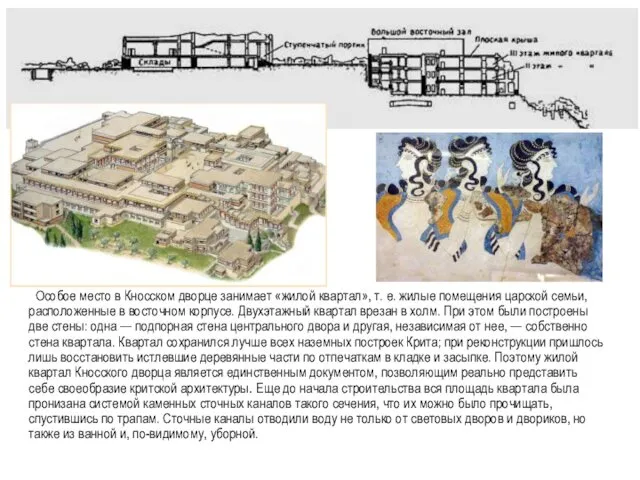 Особое место в Кносском дворце занимает «жилой квартал», т. е. жилые