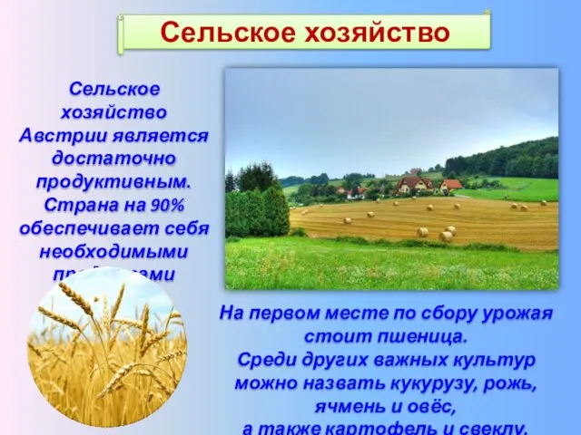 Сельское хозяйство Австрии является достаточно продуктивным. Страна на 90% обеспечивает себя