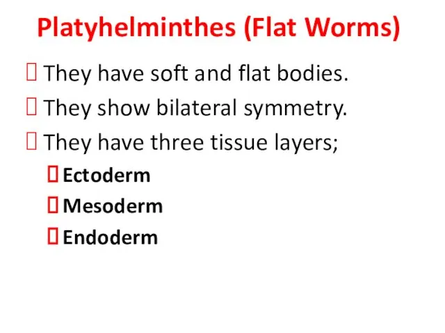 They have soft and flat bodies. They show bilateral symmetry. They