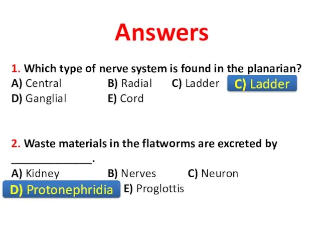 Answers 1. Which type of nerve system is found in the