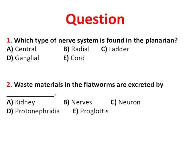 Question 1. Which type of nerve system is found in the