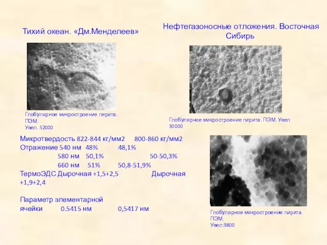 Тихий океан. «Дм.Менделеев» Глобулярное микростроение пирита. ПЭМ. Увел. 52000 Нефтегазоносные отложения.