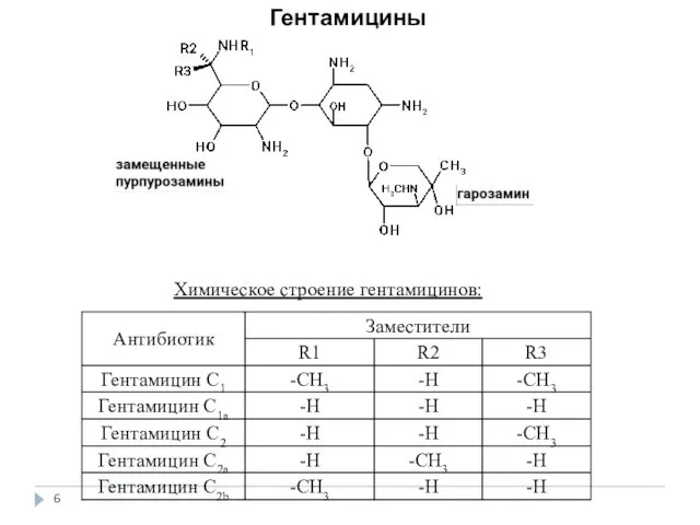 Гентамицины Химическое строение гентамицинов: