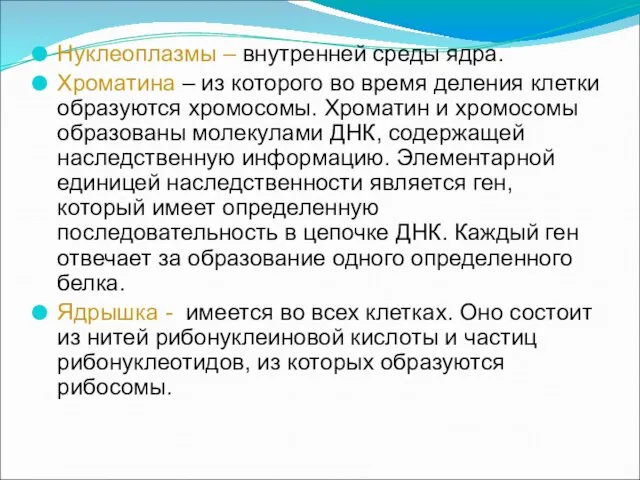 Нуклеоплазмы – внутренней среды ядра. Хроматина – из которого во время