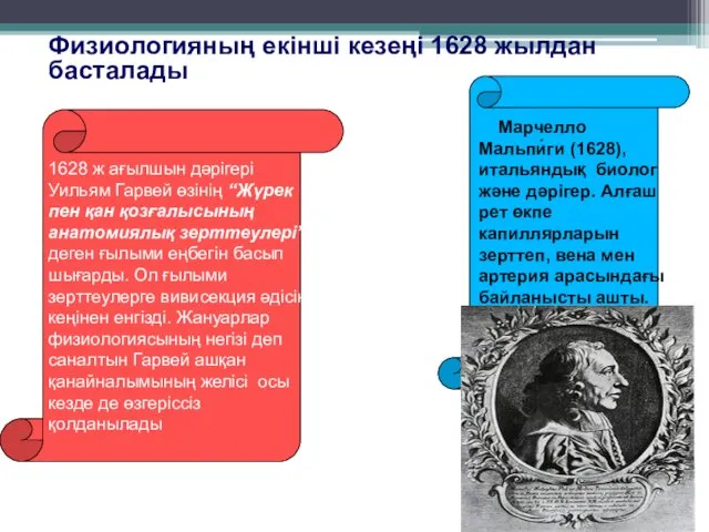 Физиологияның екінші кезеңі 1628 жылдан басталады 1628 ж ағылшын дәрігері Уильям