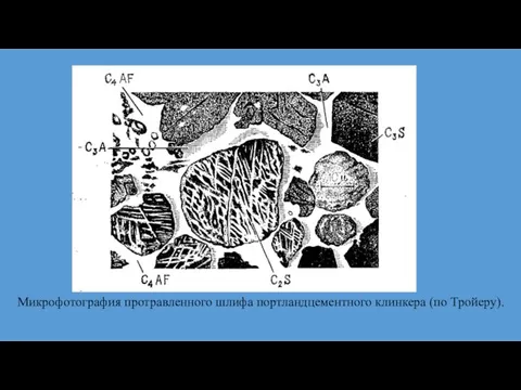 Микрофотография протравленного шлифа портландцементного клинкера (по Тройеру).