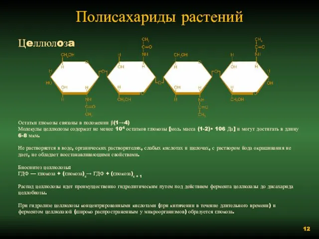 Полисахариды растений Цeллюлoзa Остатки глюкозы связаны в положении β(1→4) Молекулы целлюлозы