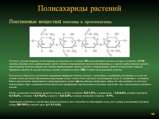 Полисахариды растений Пектиновые вещества: пектины и протопектины Пектины - водорастворимые полисахариды,