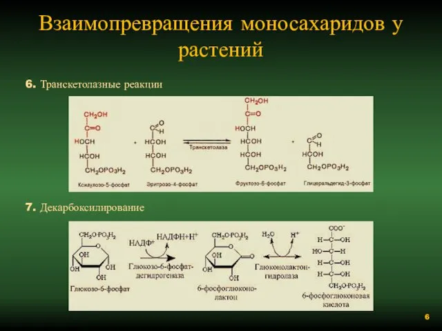 Взаимопревращения моносахаридов у растений 6. Транскетолазные реакции 7. Декарбоксилирование