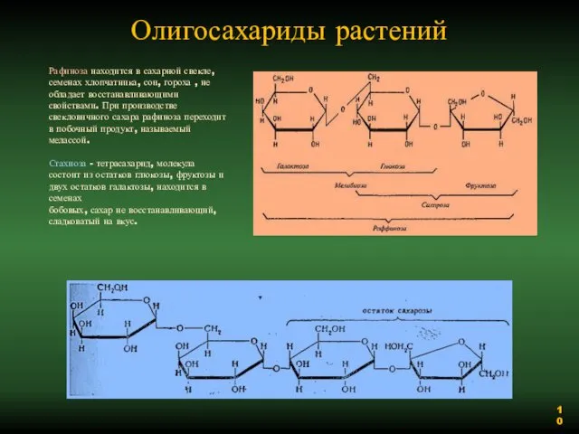 Олигосахариды растений Рафиноза находится в сахарной свекле, семенах хлопчатника, сои, гороха