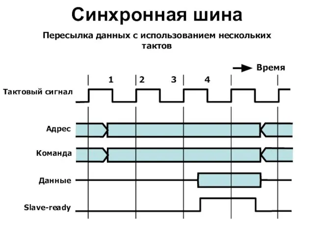 Синхронная шина Пересылка данных с использованием нескольких тактов 1 2 3