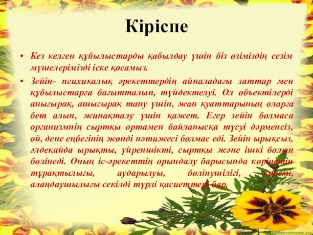 Кіріспе Кез келген құбылыстарды қабылдау үшін біз өзіміздің сезім мүшелерімізді іске