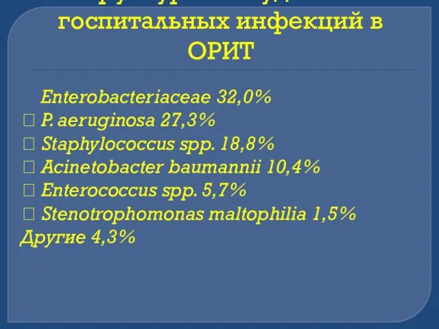 Структура возбудителей госпитальных инфекций в ОРИТ Enterobacteriaceae 32,0%  P. aeruginosa